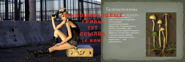 мяу мяу мука Армянск